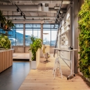 Overview of the working space