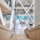 Stairs in the main hall at Canon Production Printing Venlo