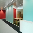 Single glass office wall with acoustic panels attached to the glass