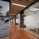Corridor / office dividing partitions wall 