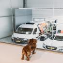 Dog watching man at work at Wraptor in Nootdorp