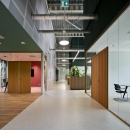 iQ WOOD Single at Natec Den Bosch