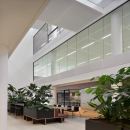 Fall-through-proof glass wall at Plus Ultra Leiden