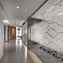 Single glass partitions with visuals added 