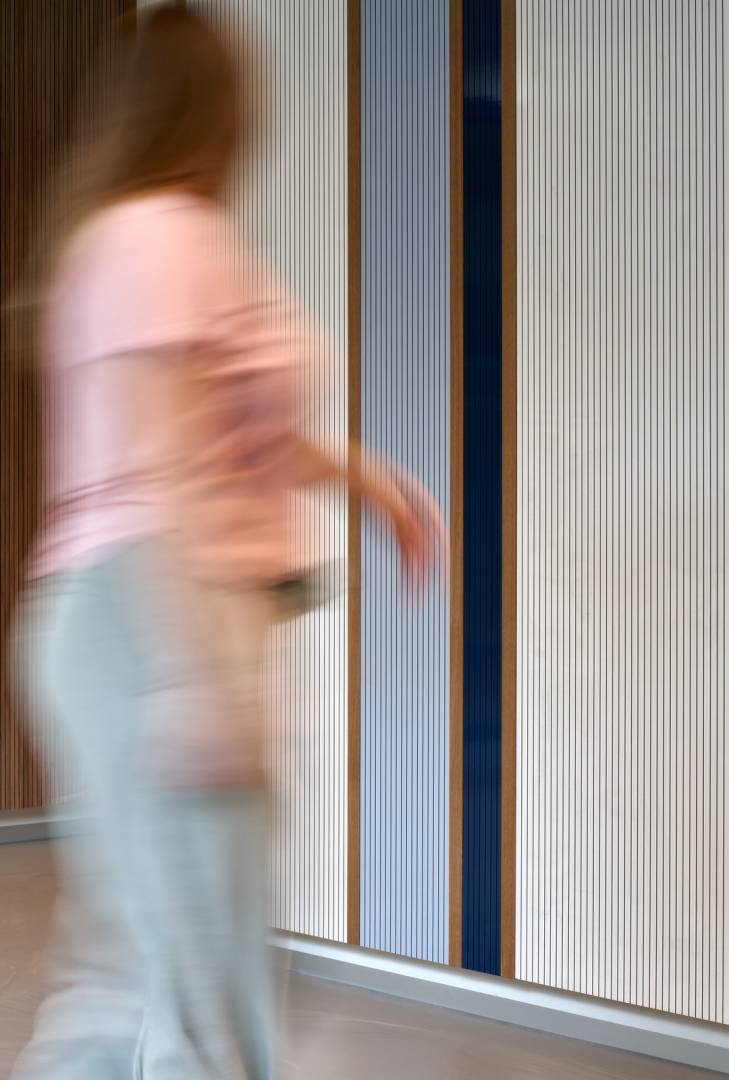 Acoustic panels at Maria Montessori University Radboud in Nijmegen