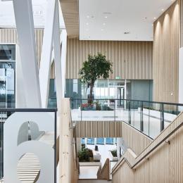 Stairs on the 6th floor at Canon Production Printing Venlo