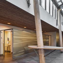 Demountable Wall Partitions with vector pattern print