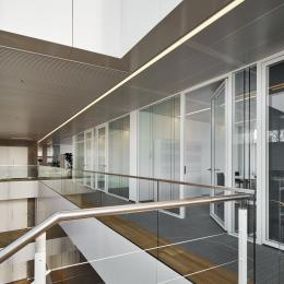 Glass office walls dividing the corridor 