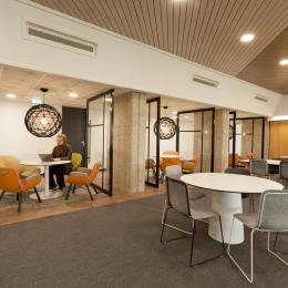 Glass pivoting doors