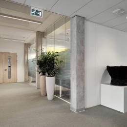 Single glass demountable wall with vector print