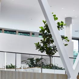 Parts of the steel construction in the atrium at Canon Production Printing Venlo