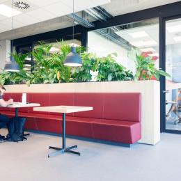 IQ Structural double glass partition at DPD Oirschot