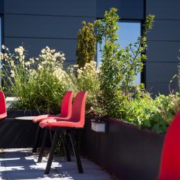 Relax garden at DPD Oirschot