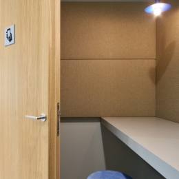 iQ WOOD Structural massive door