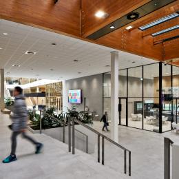 High partition walls with minimalistic profiles