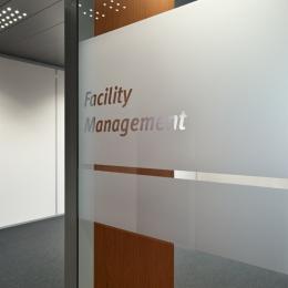 Single glass partition wall with sandblasted film