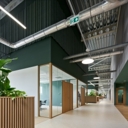 iQ WOOD Single at Natec Den Bosch