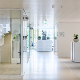Offices with double glass partitions