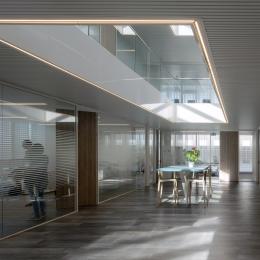 Corridor / office dividing partitions wall made with vector striping